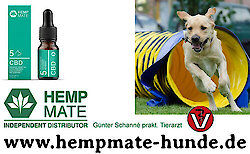 CBD fuer Hunde - natuerliches CBD Oel aus 100% Hanf - immer mehr Tieraerzte, Heilpraktiker, Hundetrainer vertrauen auf CBD